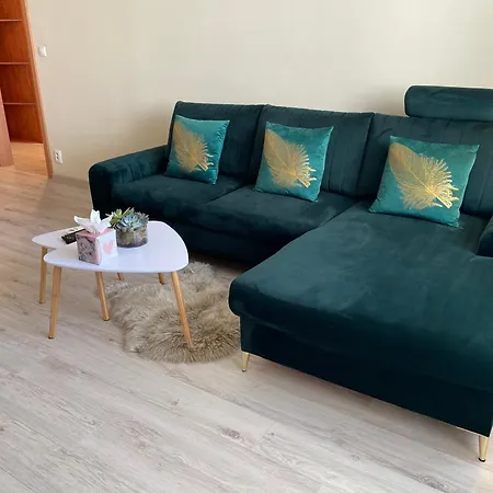 דירה City Apartment פישטני