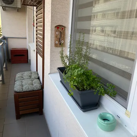 Апартаменты City Apartment